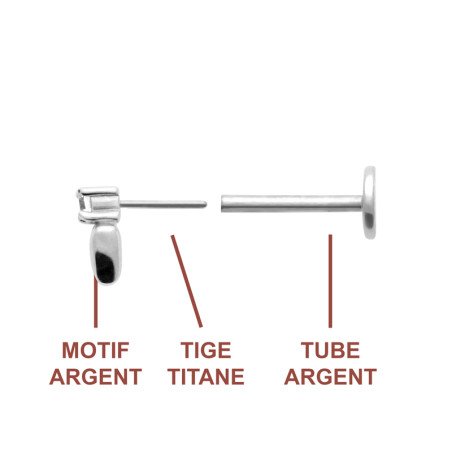 Piercing Pointe Scintillante Argent et Titane