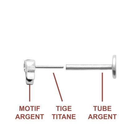Piercing Étoile Scintillante en Argent