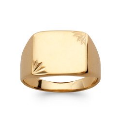 BAGUE PL-OR 750 3MIC