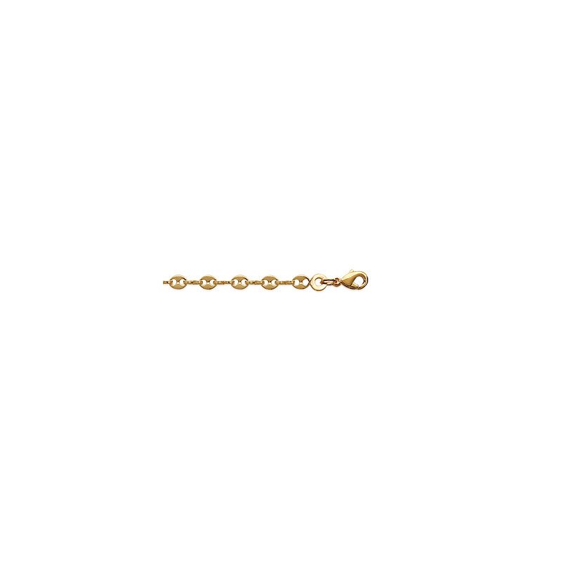 CHAINE PL-OR 750 3MIC