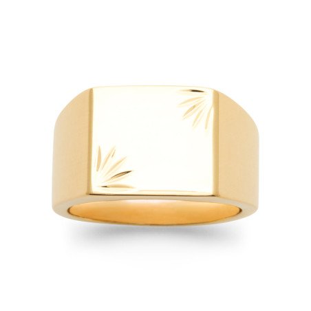 BAGUE PL-OR 750 3MIC