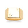 BAGUE PL-OR 750 3MIC