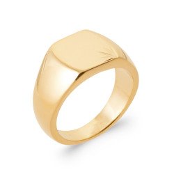 BAGUE PL-OR 750 3MIC