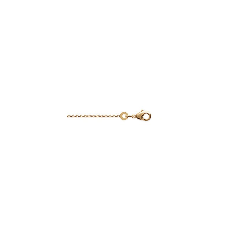 CHAINE CHEVILLE PL-OR 750 3MIC
