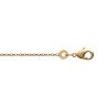 CHAINE PL-OR 750 3MIC