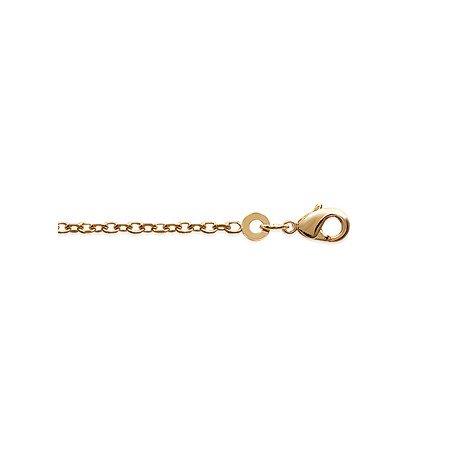 CHAINE PL-OR 750 3MIC