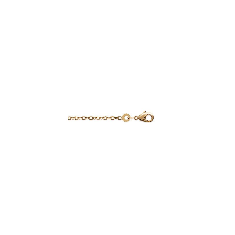 CHAINE PL-OR 750 3MIC