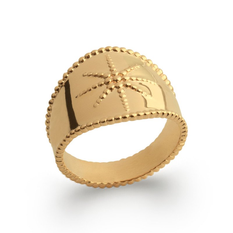 BAGUE PL-OR 750 3MIC
