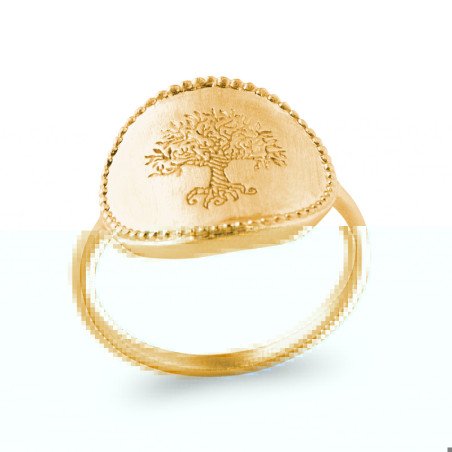 BAGUE PL-OR 750 5MIC