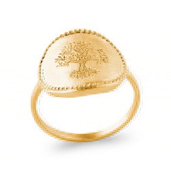 BAGUE PL-OR 750 5MIC
