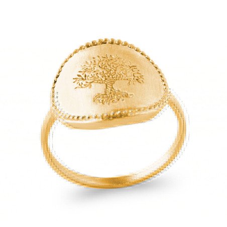 BAGUE PL-OR 750 5MIC