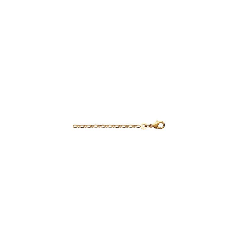 CHAINE PL-OR 750 3MIC